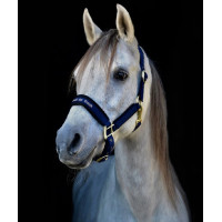 Cabezada Werano Back On Track Azul