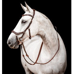 Bridon Horseware Micklem 2 Competição Rambo