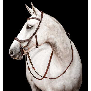 Bridon Horseware Micklem 2 Competição Rambo Bridon Horseware Micklem 2 Competição Rambo
