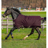 Capa Horseware Amigo Hero Ripstop Lite 0g Figue Violeta Capa Horseware Amigo Hero Ripstop Lite 0g Figue Violeta