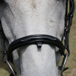 Bridão com ponte Raphaël T de T Preto