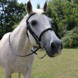 Bridão com ponte Raphaël T de T Preto