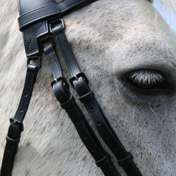 Bridão com ponte Raphaël T de T Preto