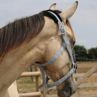 Cabresto de carneiro T de T sintético Bege / natural