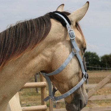 Cabresto de carneiro T de T sintético Cinza / preto Cinzento