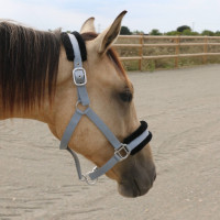 Cabresto de carneiro T de T sintético Bege / natural