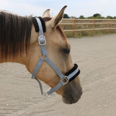 Cabresto de carneiro T de T sintético Cinza / preto Cinzento
