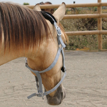 Cabresto de carneiro T de T sintético Cinza / preto Cinzento