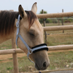 Cabresto de carneiro T de T sintético Cinza / preto Cinzento