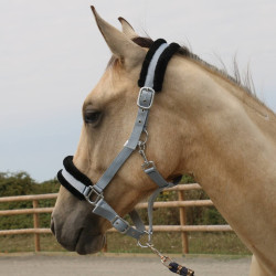 Cabresto de carneiro T de T sintético Cinza / preto Cinzento