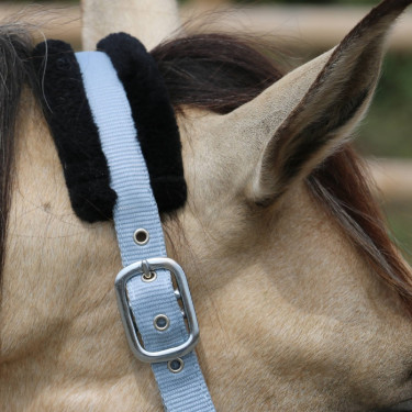 Cabresto de carneiro T de T sintético Cinza / preto Cinzento