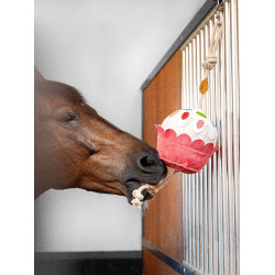 Jouet pour chevaux LeMieux Cupcake