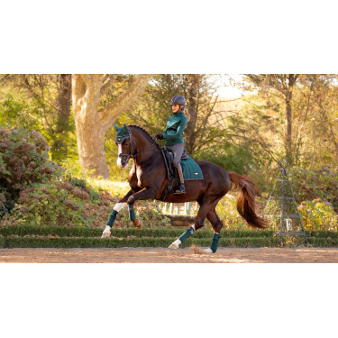 Bandagens de polo Loire LeMieux Verde abeto Bandagens de polo Loire LeMieux Verde abeto