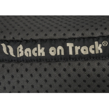 Amortecedor Back on Track® Aurora Amortecedor Back on Track® Aurora