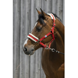 Cabeçada Riding World com lã sintética Cabeçada Riding World com lã sintética
