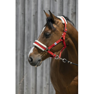Cabeçada Riding World com lã sintética Cabeçada Riding World com lã sintética