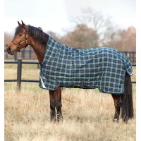 Cobertura Horseware Rhino Wug Vari-Layer 250g Verde aos quadrados / verde