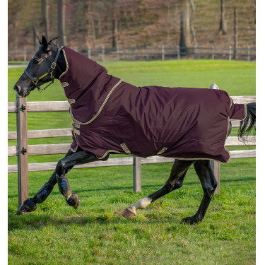 Capa Horseware Amigo Hero Ripstop Plus com cobertura de pescoço 0g Figo / marinho Capa Horseware Amigo Hero Ripstop Plus com cobertura de pescoço 0g Figo / marinho