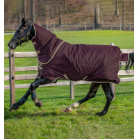 Capa Horseware Amigo Hero Ripstop Plus 100g Figo / marinho Violeta Capa Horseware Amigo Hero Ripstop Plus 100g Figo / marinho Violeta