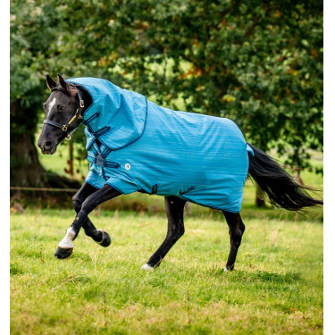 Cobertura Horseware Amigo Hero 900 Revive Plus 200g Cobertura Horseware Amigo Hero 900 Revive Plus 200g