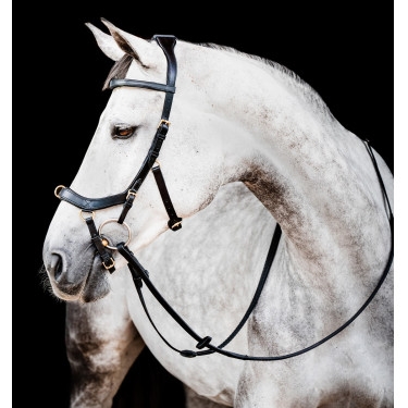 Bridão Horseware Micklem 2 Multi Preto Bridão Horseware Micklem 2 Multi Preto