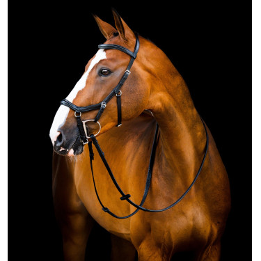 Bridão Horseware Micklem 2 Deluxe Competition rédeas de borracha