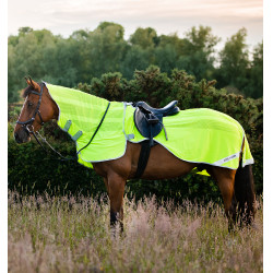 Cobre-rins Horseware anti-moscas Fluo Amigo Flyrider 0g