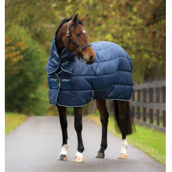 Manta Horseware Amigo Insulator Plus 350g com pescoceira Manta Horseware Amigo Insulator Plus 350g com pescoceira