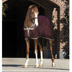 Camisa secante de rede Horseware Amigo 0g Camisa secante de rede Horseware Amigo 0g