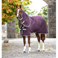 Cobertura de box Horseware Amigo Plus Disco 200g Figo / marinho