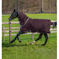 Capa Horseware Amigo Hero Ripstop Plus com cobre-pescoço 200g Figo / prata Bordô Capa Horseware Amigo Hero Ripstop Plus com cobre-pescoço 200g Figo / prata Bordô