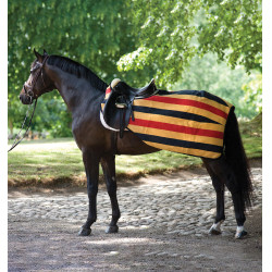 Cobre-rins Horseware Rambo polar 0g