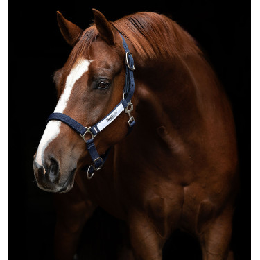 Cabeçada de segurança Horseware Field Safe Cabeçada de segurança Horseware Field Safe