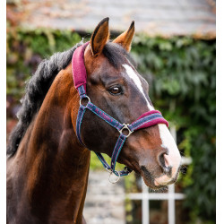 Cabeçada Horseware Rambo forrada com polar Cabeçada Horseware Rambo forrada com polar