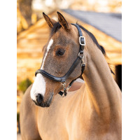 Cabresto de escovação LeMieux em couro Castanho