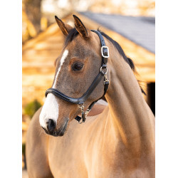 Cabresto de escovação LeMieux em couro Preto Cabresto de escovação LeMieux em couro Preto