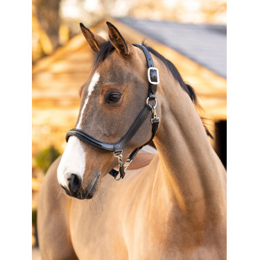 Cabresto de escovação LeMieux em couro Preto Cabresto de escovação LeMieux em couro Preto