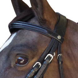 Bridão Pull Back Euro Canter Bridão Pull Back Euro Canter