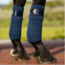 Bandagens de polo Loire LeMieux Azul atlântico