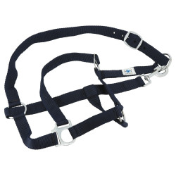 Conjunto completo Riding World Conjunto completo Riding World