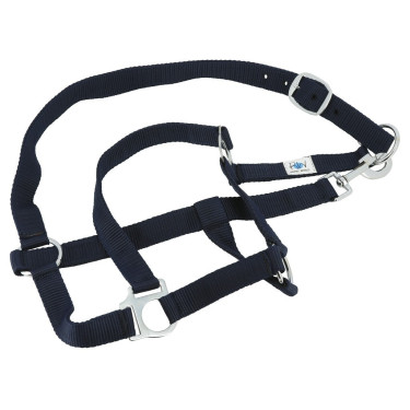 Conjunto completo Riding World Conjunto completo Riding World