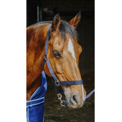 Conjunto completo Riding World Conjunto completo Riding World