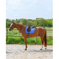 Tapete GEM Love dressage Azul França