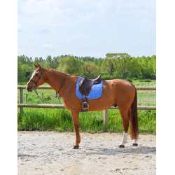 Tapete GEM Love dressage Azul França