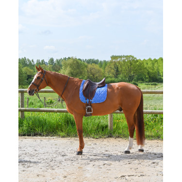 Tapete GEM Love dressage Azul França