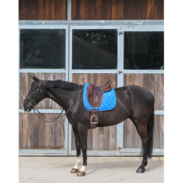Tapete GEM Love dressage Azul França