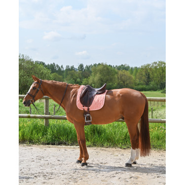 Tapete GEM Love dressage Coral Tapete GEM Love dressage Coral