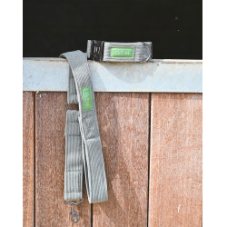 Conjunto de Coleira e Trela GEM Caqui Kaki