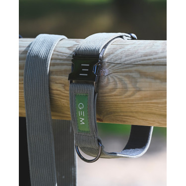 Conjunto de Coleira e Trela GEM Caqui Kaki