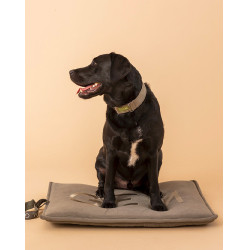 Tapete para cão GEM 60 x 80 cm Caqui